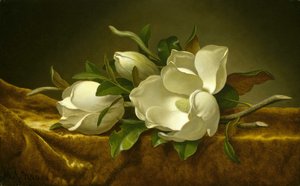 Magnolie su velluto dorato